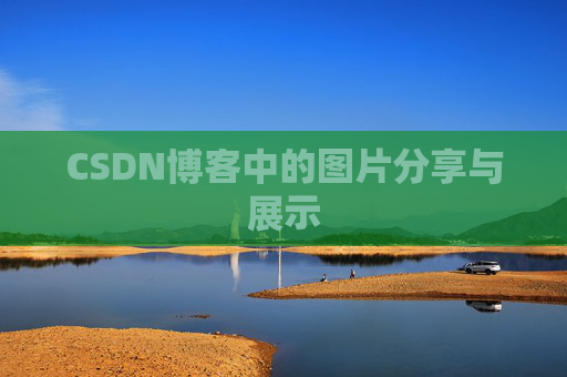 CSDN博客中的图片分享与展示